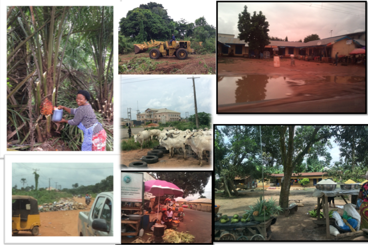 Community Development
